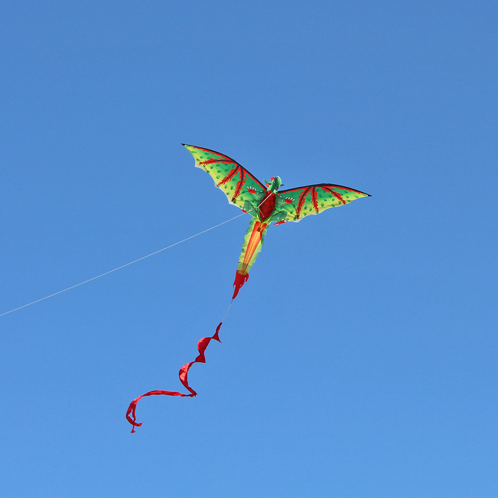 3D d-ragon k-ite çocuklar oyun - Kids Unique Outdoor Toys incelemesi ve fiyatı