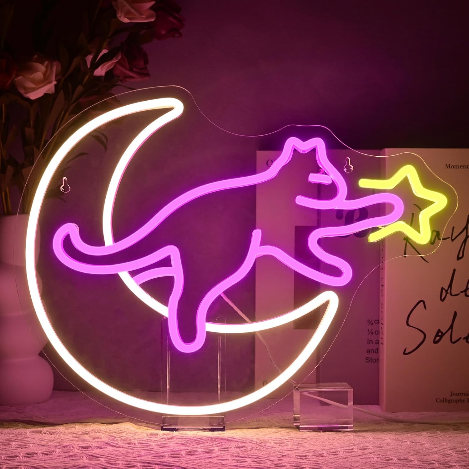 Ay Üzerindeki Kedi Neon Tabela - Kids Outdoor Gift Ideas incelemesi ve fiyatı
